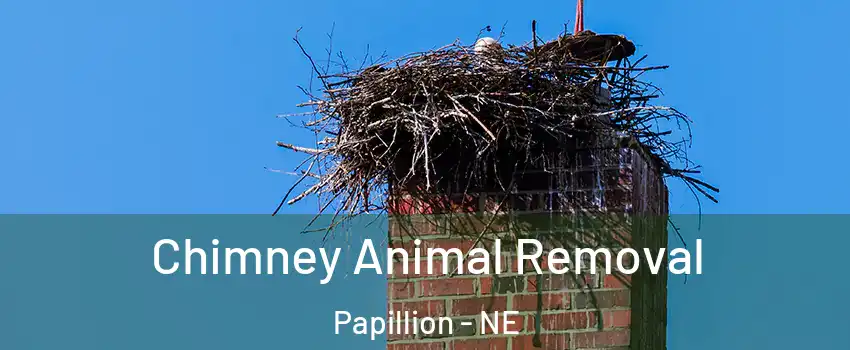  Chimney Animal Removal Papillion - NE