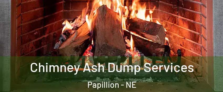  Chimney Ash Dump Services Papillion - NE