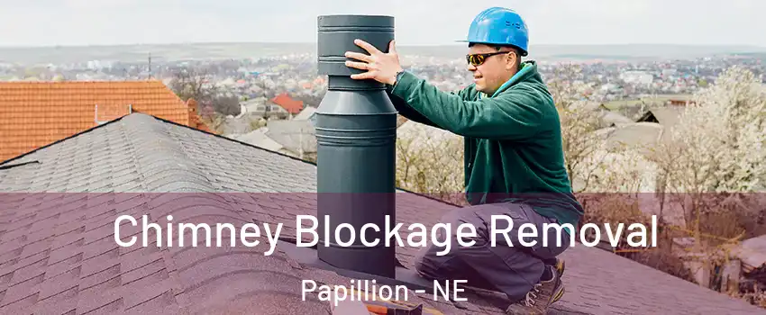 Chimney Blockage Removal Papillion - NE