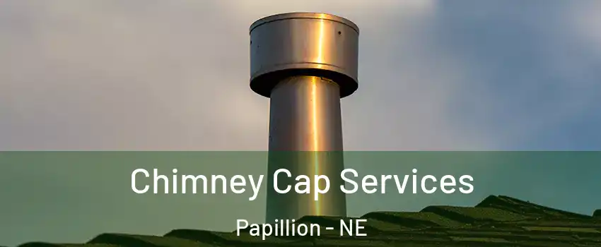  Chimney Cap Services Papillion - NE