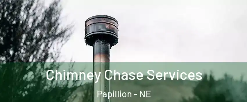  Chimney Chase Services Papillion - NE