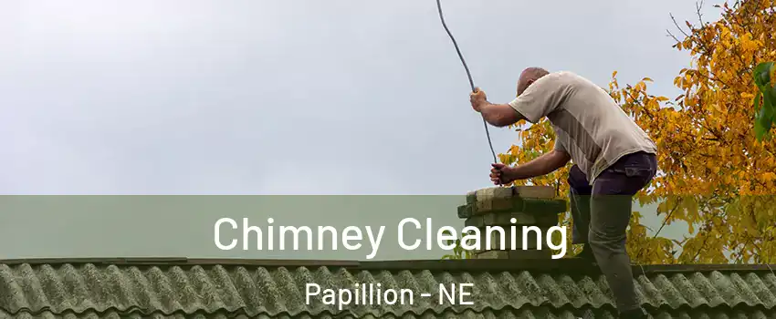  Chimney Cleaning Papillion - NE