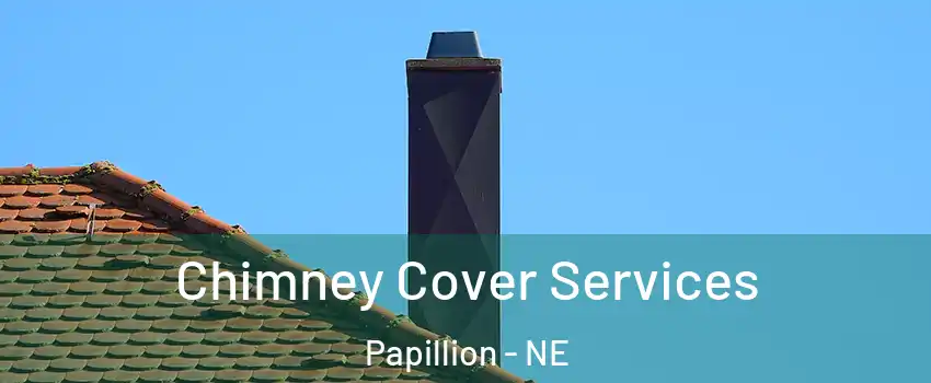  Chimney Cover Services Papillion - NE
