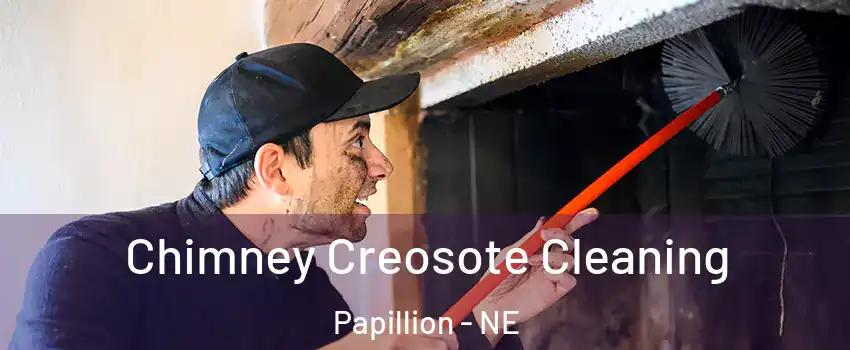  Chimney Creosote Cleaning Papillion - NE