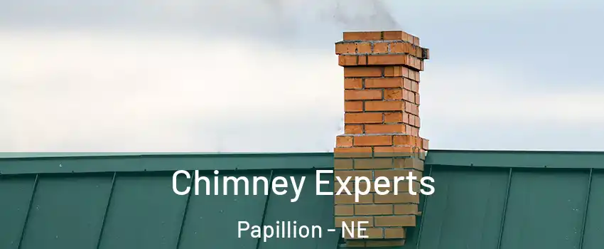  Chimney Experts Papillion - NE
