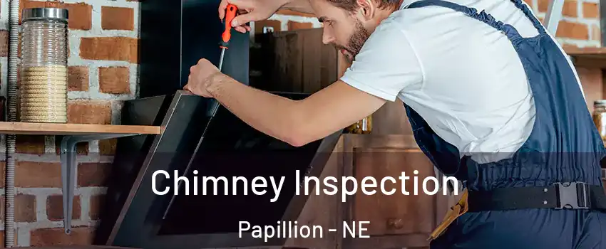  Chimney Inspection Papillion - NE