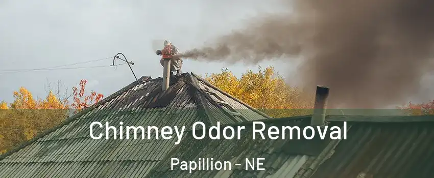  Chimney Odor Removal Papillion - NE