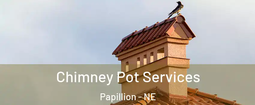  Chimney Pot Services Papillion - NE