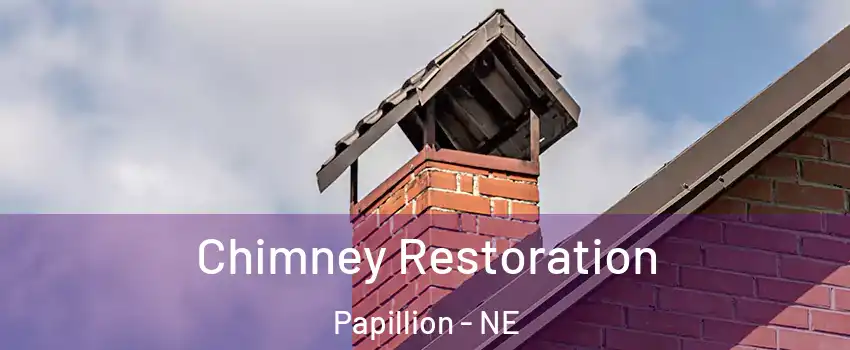  Chimney Restoration Papillion - NE