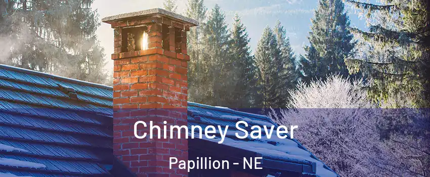  Chimney Saver Papillion - NE