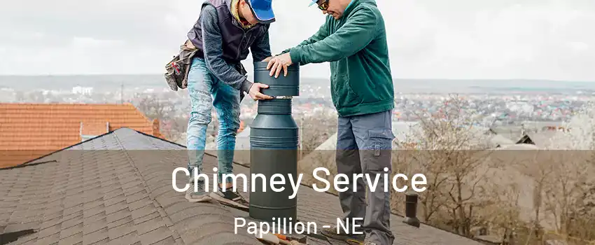  Chimney Service Papillion - NE