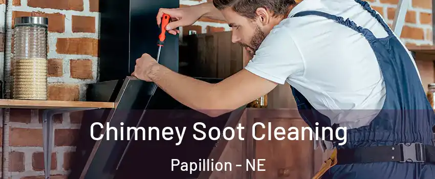  Chimney Soot Cleaning Papillion - NE