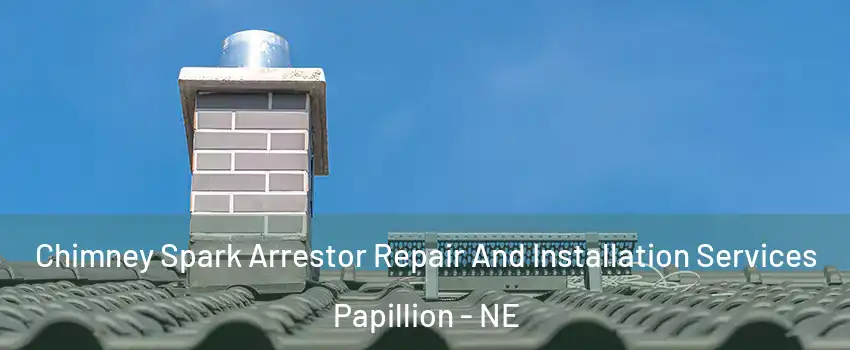  Chimney Spark Arrestor Repair And Installation Services Papillion - NE