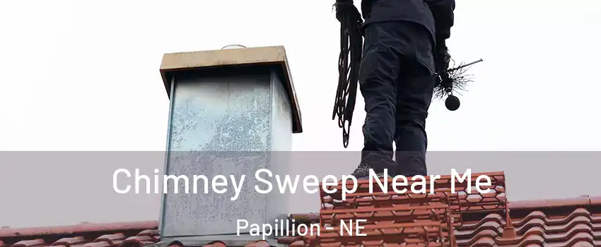  Chimney Sweep Near Me Papillion - NE