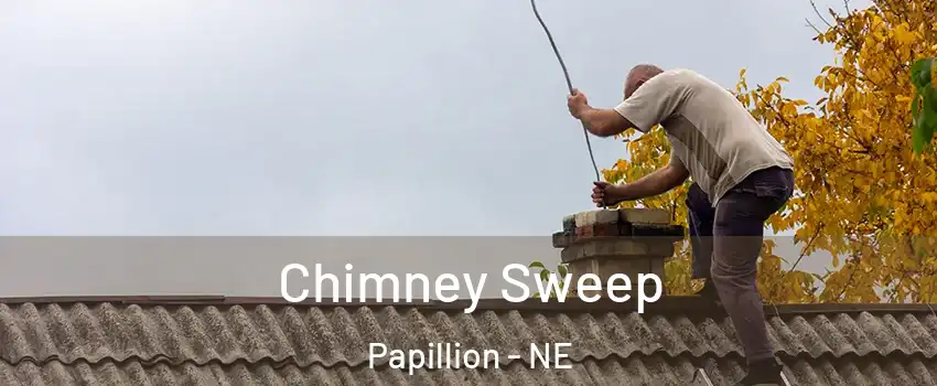 Chimney Sweep Papillion - NE