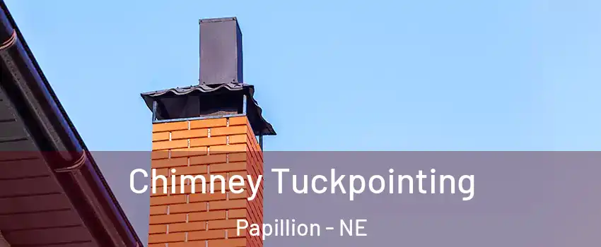  Chimney Tuckpointing Papillion - NE