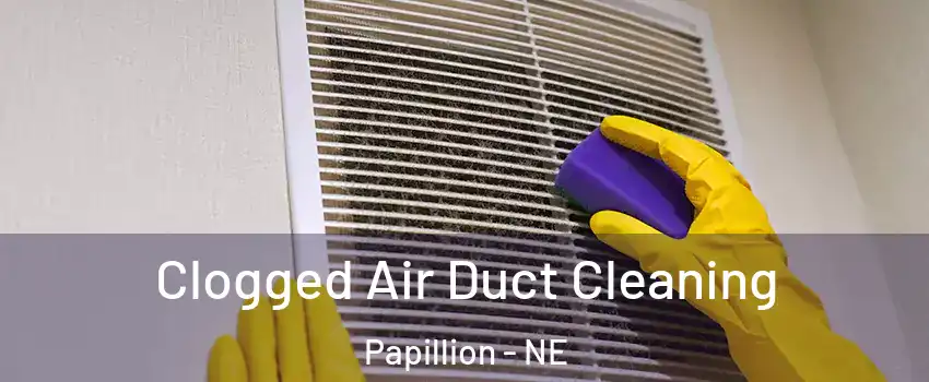  Clogged Air Duct Cleaning Papillion - NE