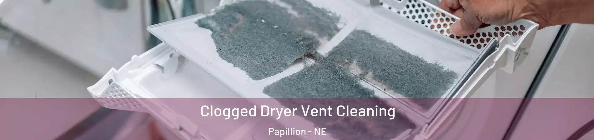  Clogged Dryer Vent Cleaning Papillion - NE