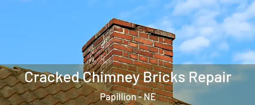  Cracked Chimney Bricks Repair Papillion - NE