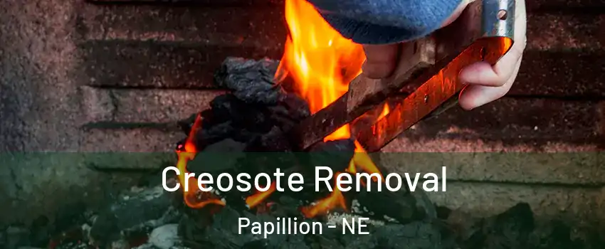 Creosote Removal Papillion - NE
