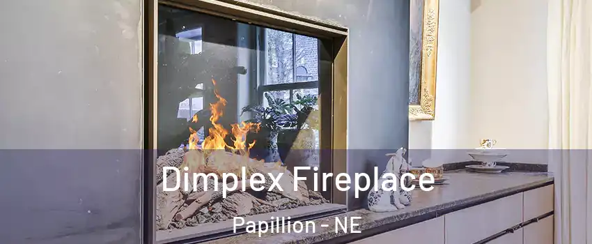  Dimplex Fireplace Papillion - NE
