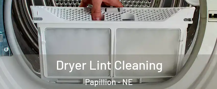  Dryer Lint Cleaning Papillion - NE