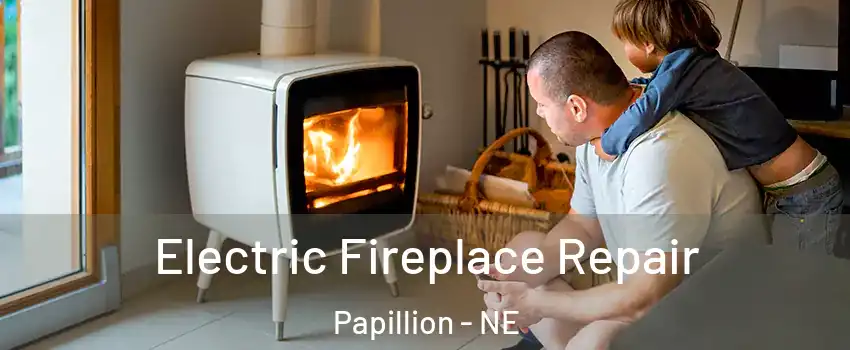  Electric Fireplace Repair Papillion - NE