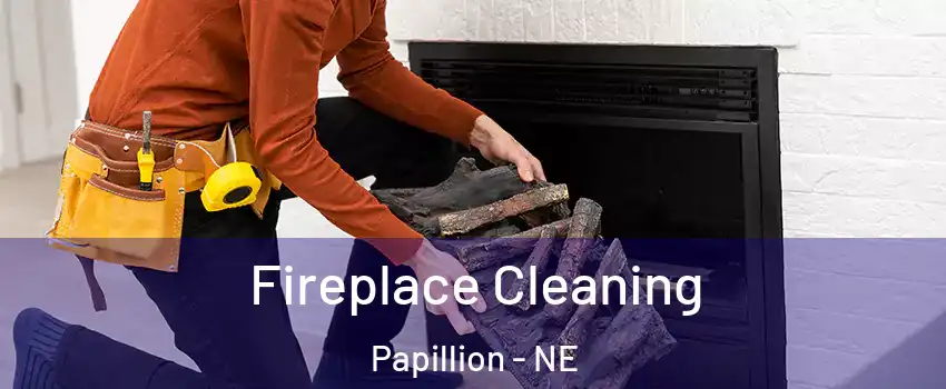  Fireplace Cleaning Papillion - NE