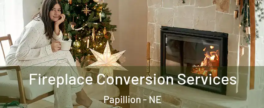  Fireplace Conversion Services Papillion - NE