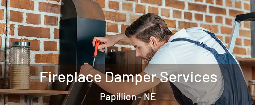  Fireplace Damper Services Papillion - NE