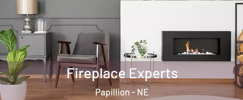  Fireplace Experts Papillion - NE