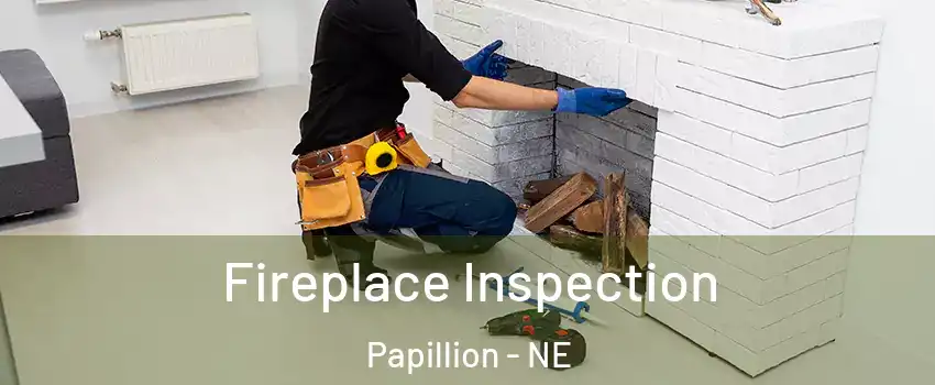  Fireplace Inspection Papillion - NE