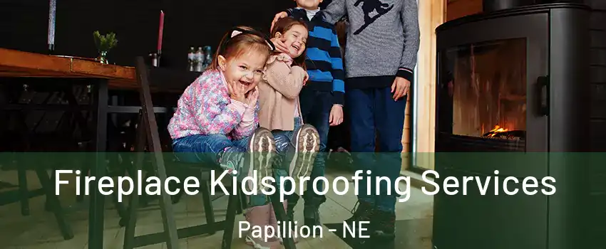  Fireplace Kidsproofing Services Papillion - NE