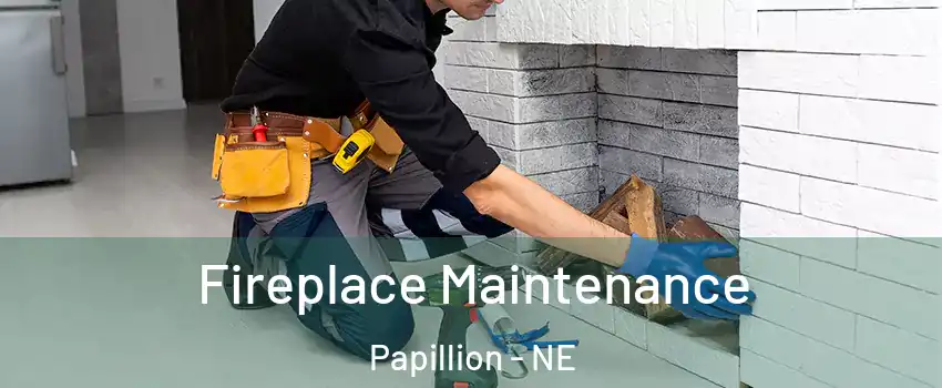  Fireplace Maintenance Papillion - NE