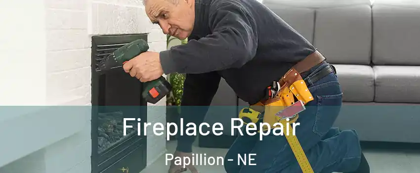  Fireplace Repair Papillion - NE