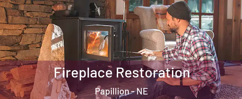  Fireplace Restoration Papillion - NE