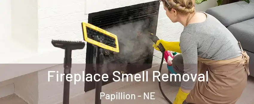  Fireplace Smell Removal Papillion - NE
