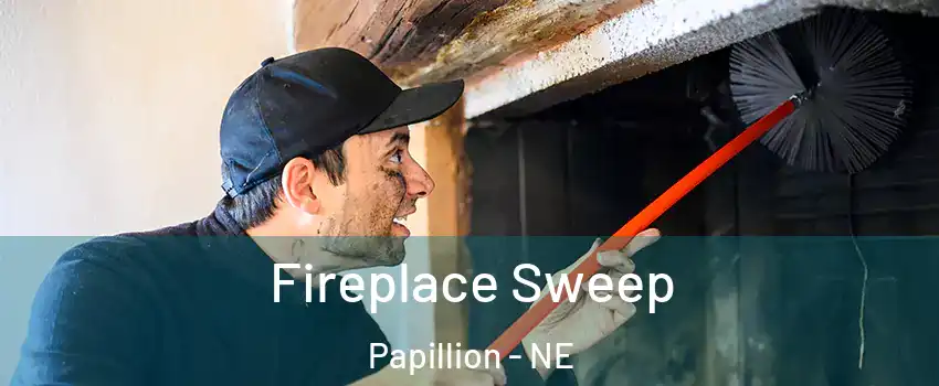  Fireplace Sweep Papillion - NE