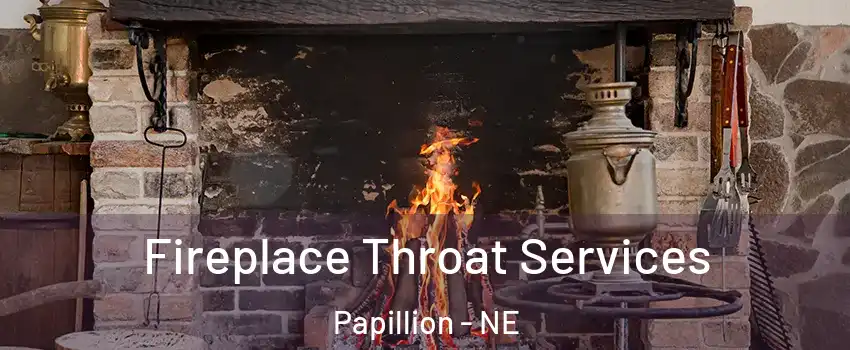  Fireplace Throat Services Papillion - NE