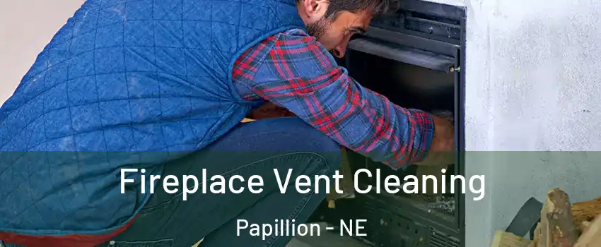  Fireplace Vent Cleaning Papillion - NE