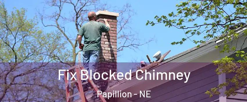  Fix Blocked Chimney Papillion - NE