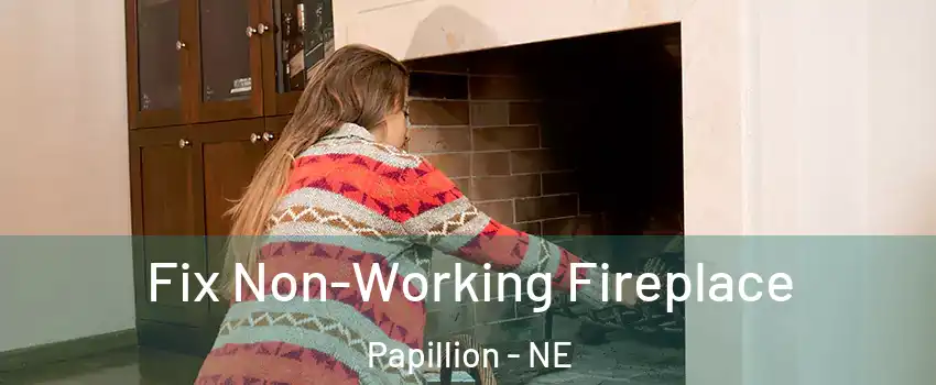  Fix Non-Working Fireplace Papillion - NE