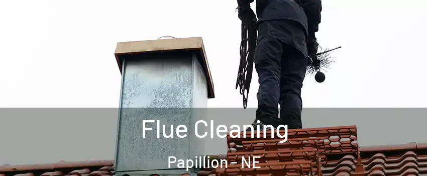  Flue Cleaning Papillion - NE