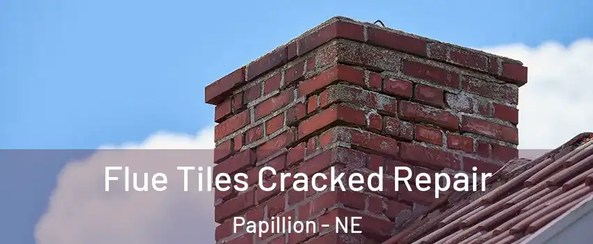  Flue Tiles Cracked Repair Papillion - NE