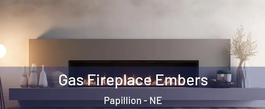  Gas Fireplace Embers Papillion - NE