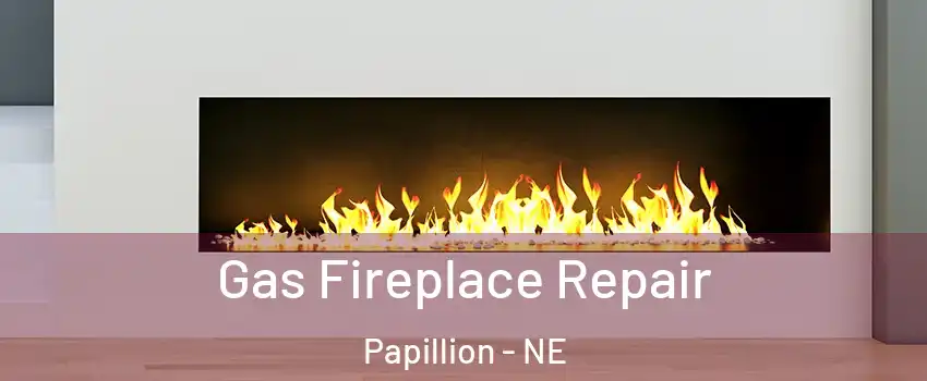  Gas Fireplace Repair Papillion - NE