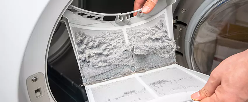 Best Dryer Lint Removal Company in Papillion, Nebraska
