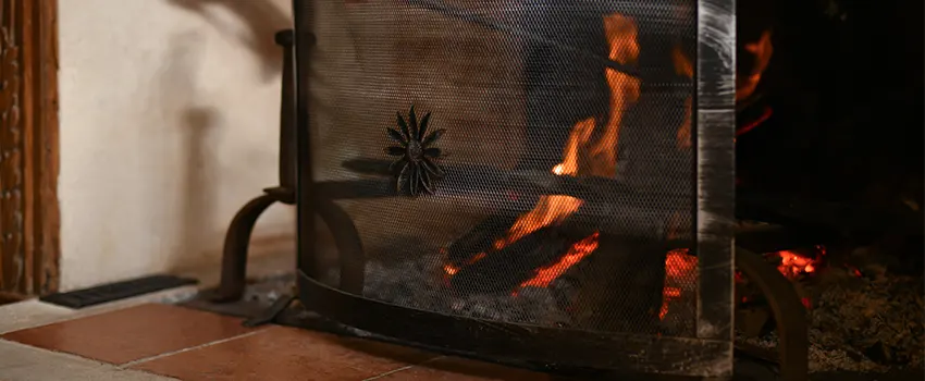 Electric Metal Fireplace installation Services in Papillion, NE