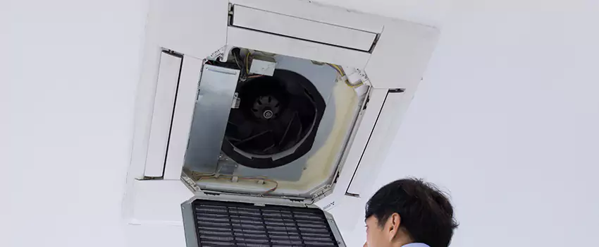 Benefits of Professional Air Duct Cleaning in Papillion, Nebraska