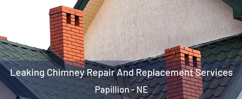  Leaking Chimney Repair And Replacement Services Papillion - NE